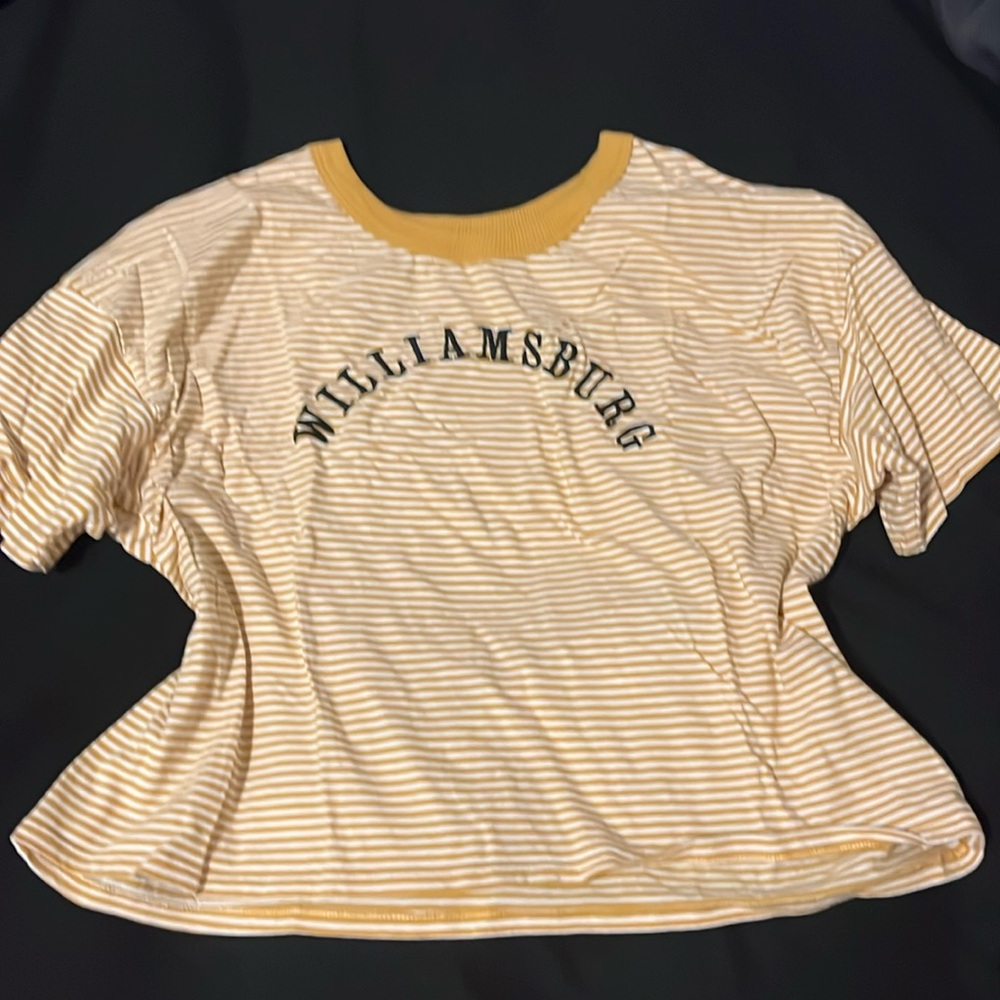 American Eagle Striped Williamsburg Boxy Crop Top